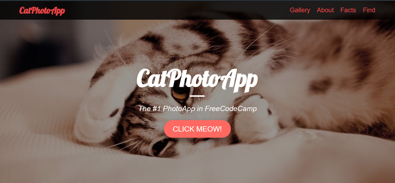 catphotoapp